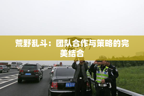 荒野乱斗：团队合作与策略的完美结合