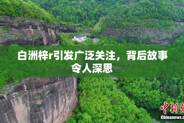 白洲梓r引发广泛关注，背后故事令人深思