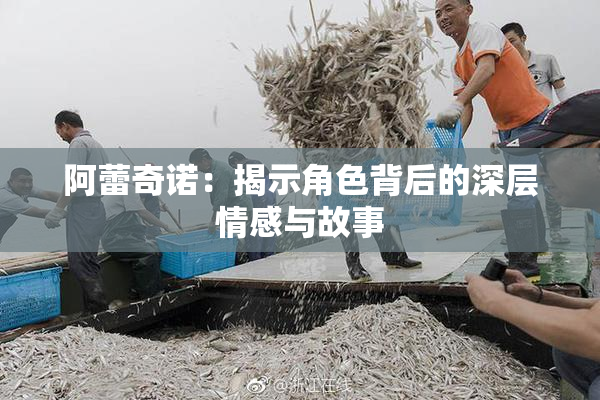 阿蕾奇诺：揭示角色背后的深层情感与故事