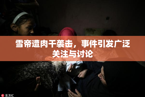 雪帝遭肉干袭击，事件引发广泛关注与讨论