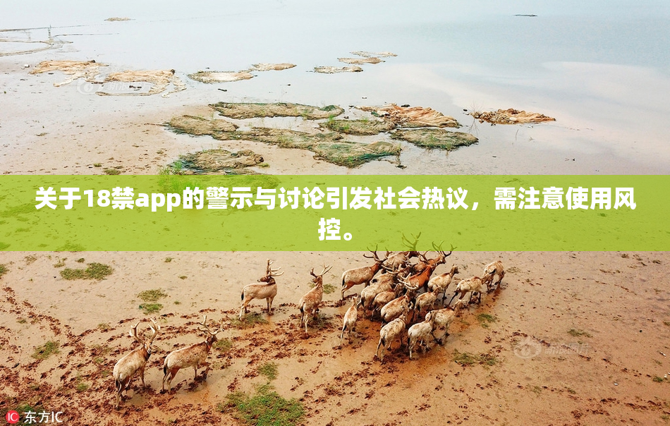 关于18禁app的警示与讨论引发社会热议，需注意使用风控。