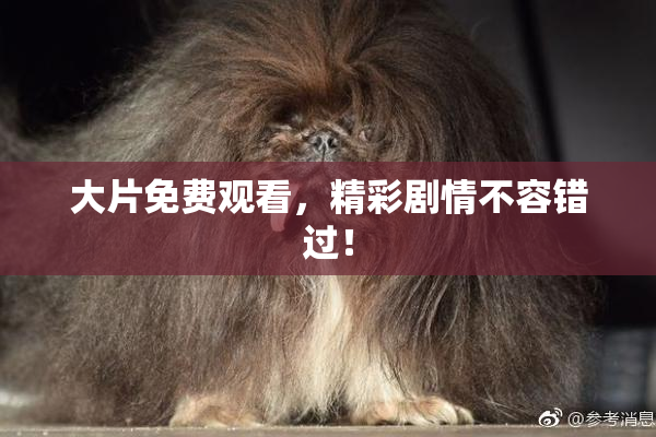 大片免费观看，精彩剧情不容错过！