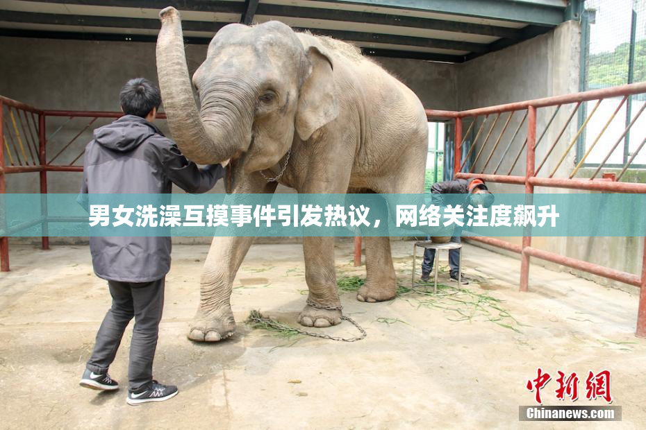 男女洗澡互摸事件引发热议，网络关注度飙升