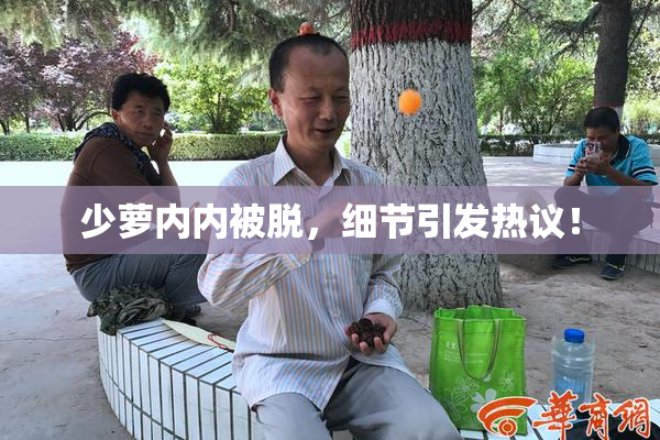少萝内内被脱，细节引发热议！