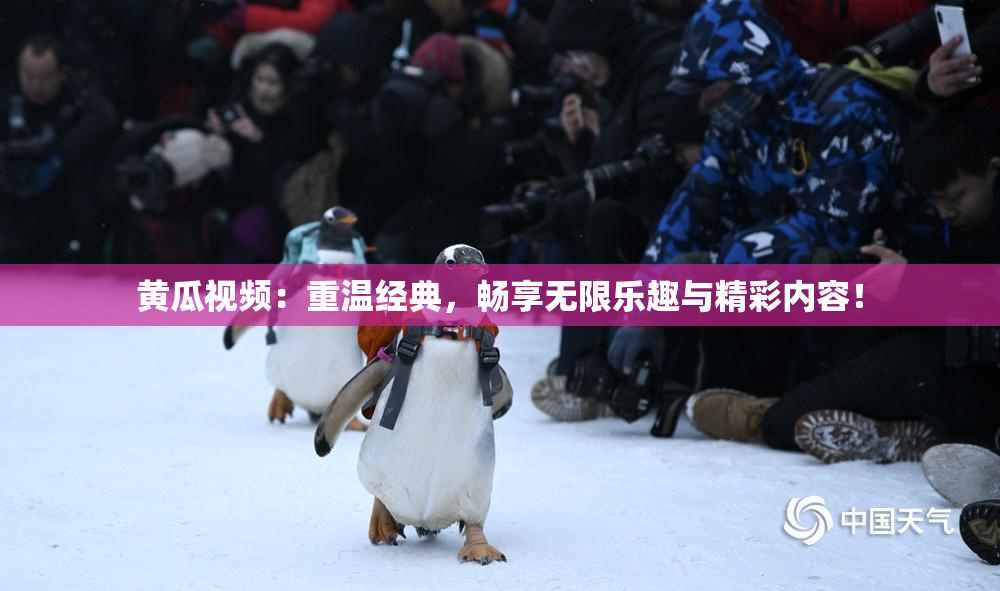 黄瓜视频：重温经典，畅享无限乐趣与精彩内容！
