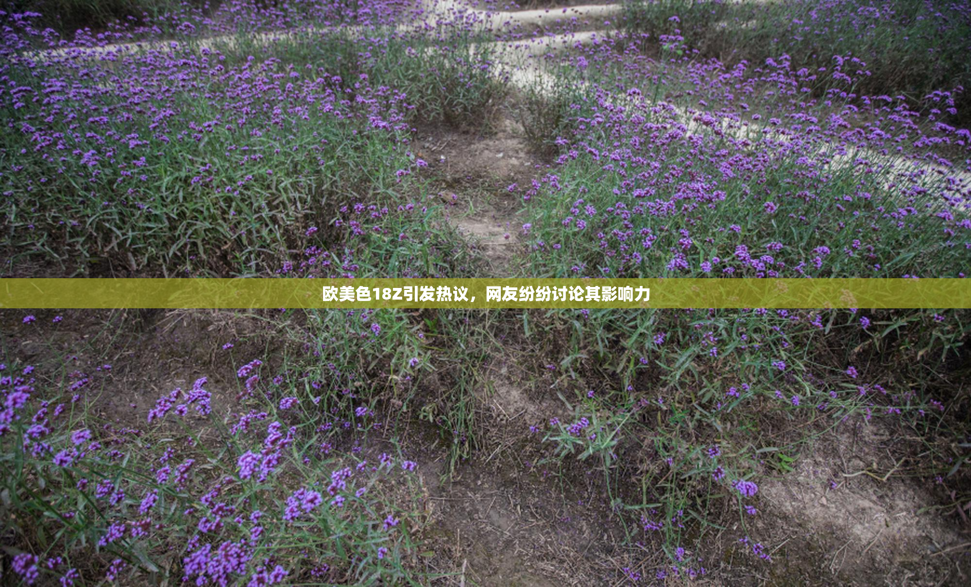 欧美色18Z引发热议，网友纷纷讨论其影响力