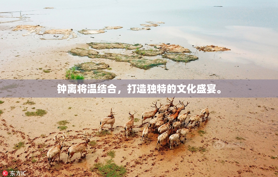 钟离将温结合，打造独特的文化盛宴。