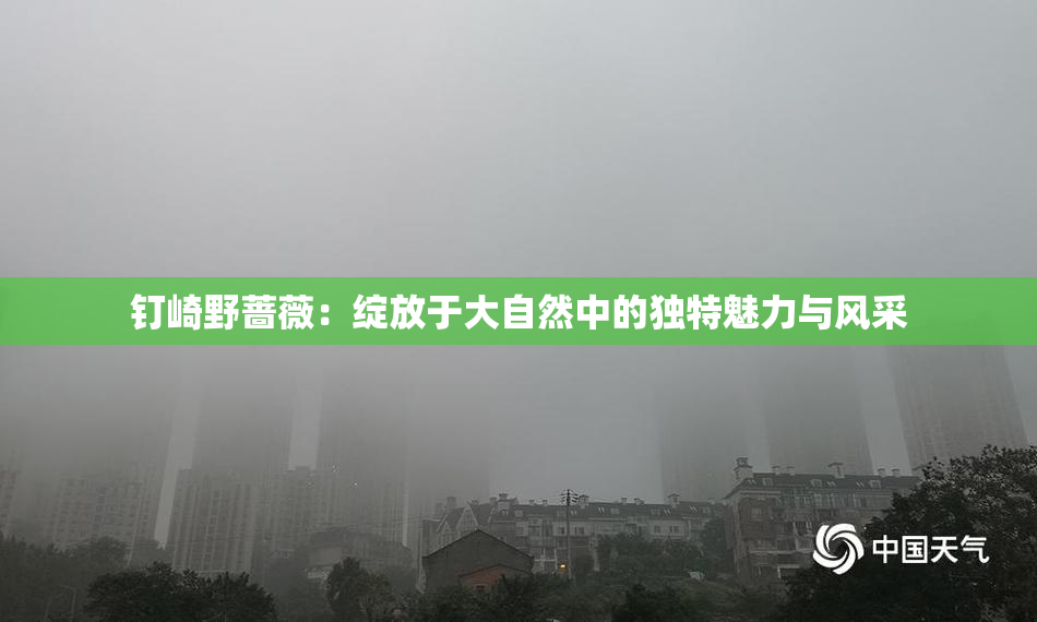 钉崎野蔷薇：绽放于大自然中的独特魅力与风采