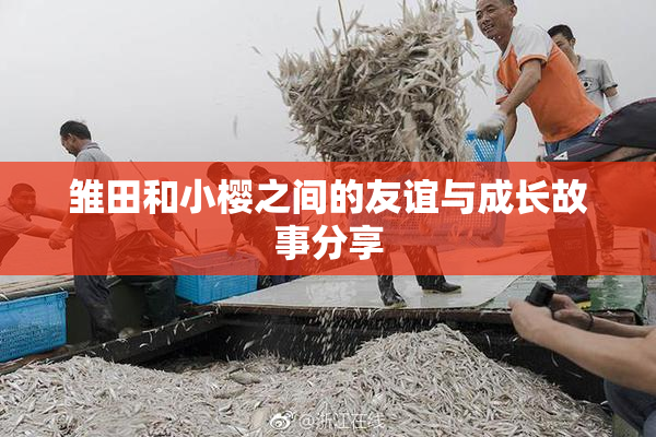 雏田和小樱之间的友谊与成长故事分享