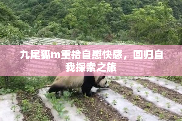 九尾狐m重拾自慰快感，回归自我探索之旅