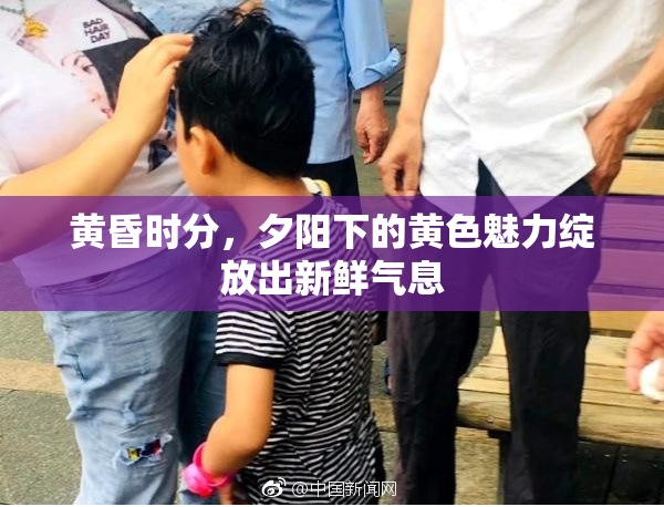 黄昏时分，夕阳下的黄色魅力绽放出新鲜气息