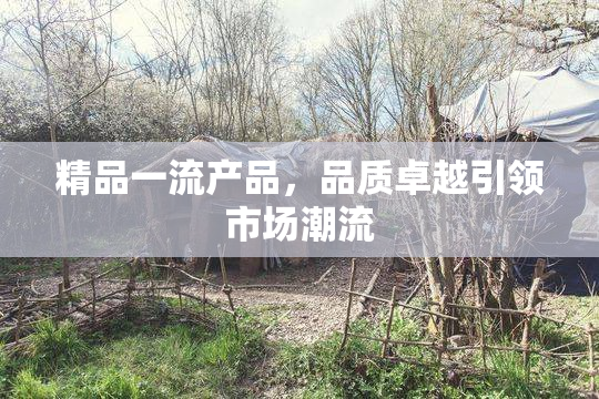 精品一流产品，品质卓越引领市场潮流