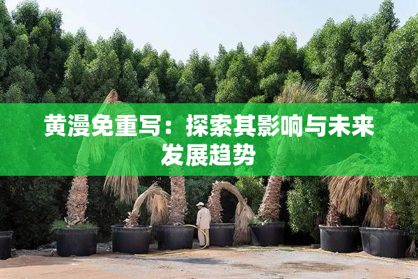 黄漫免重写：探索其影响与未来发展趋势