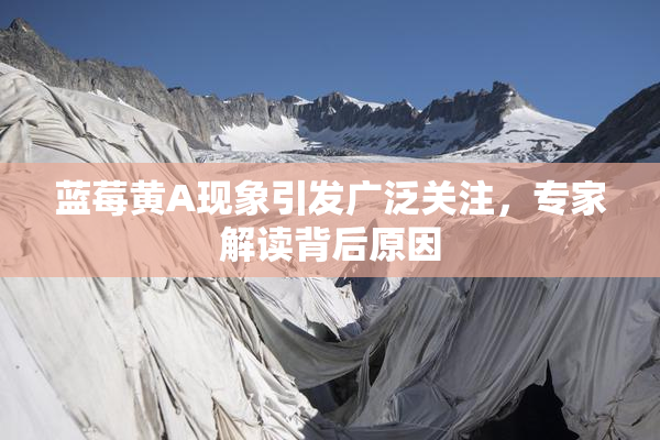 蓝莓黄A现象引发广泛关注，专家解读背后原因