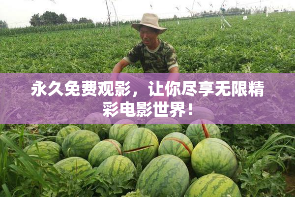 永久免费观影，让你尽享无限精彩电影世界！
