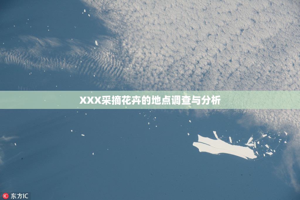XXX采摘花卉的地点调查与分析