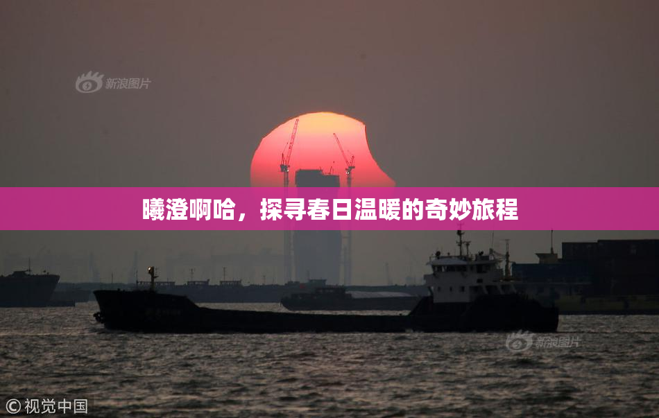 曦澄啊哈，探寻春日温暖的奇妙旅程