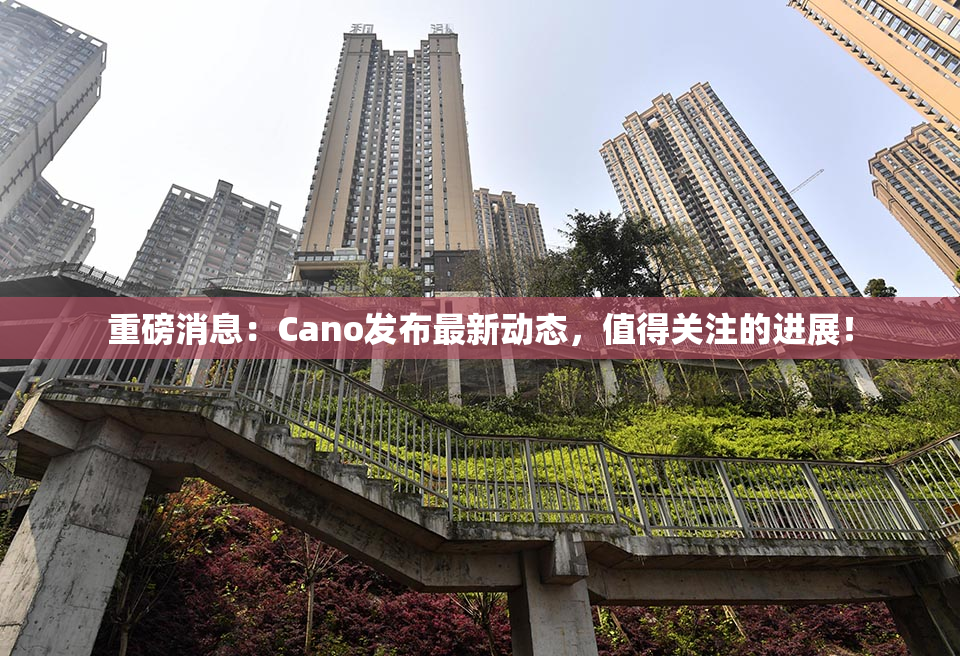 重磅消息：Cano发布最新动态，值得关注的进展！