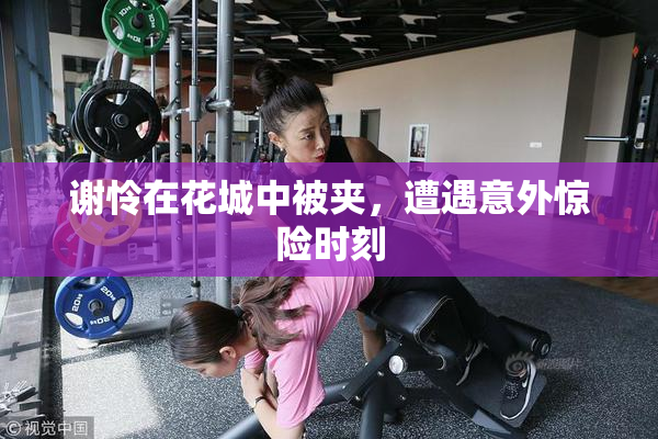 谢怜在花城中被夹，遭遇意外惊险时刻