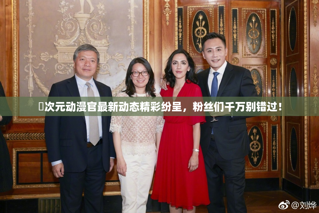 囧次元动漫官最新动态精彩纷呈，粉丝们千万别错过！
