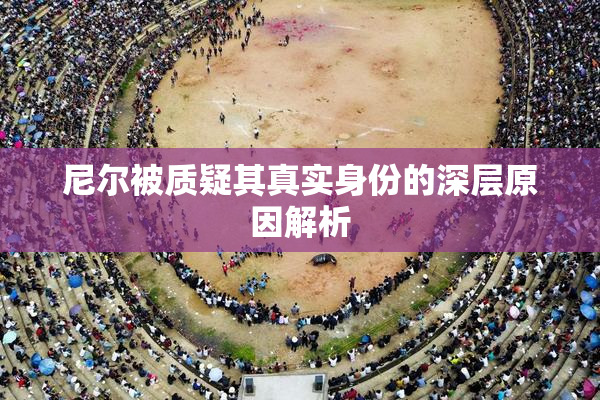 尼尔被质疑其真实身份的深层原因解析