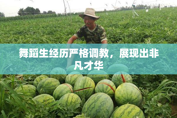 舞蹈生经历严格调教，展现出非凡才华