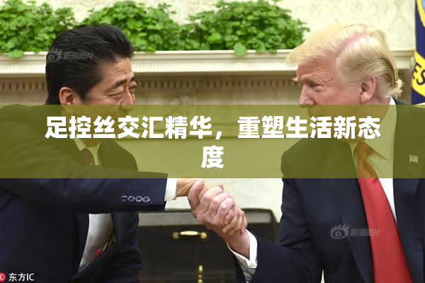 足控丝交汇精华，重塑生活新态度