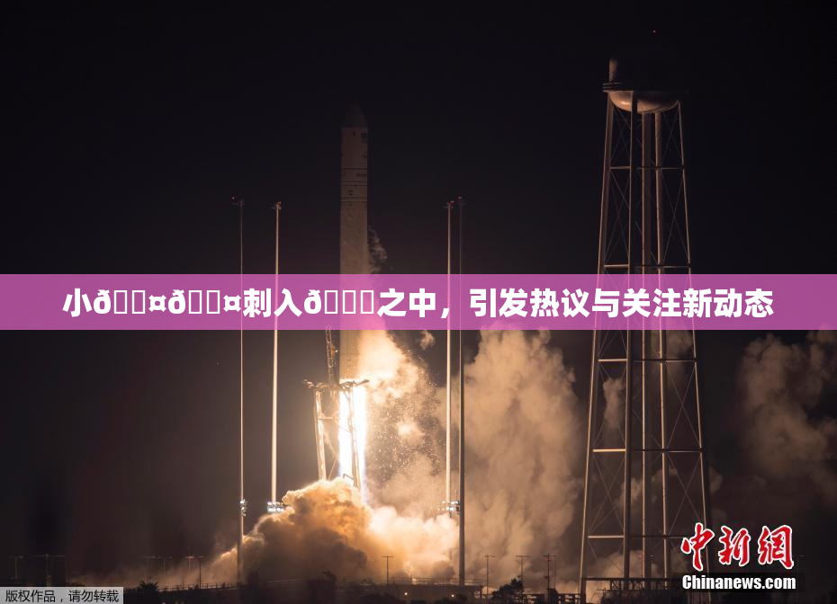 小🐤🐤刺入🍑之中，引发热议与关注新动态