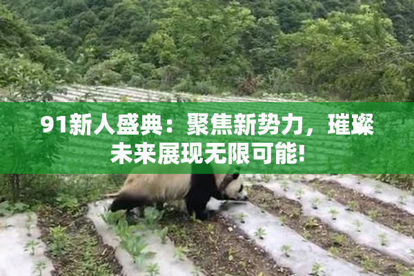 91新人盛典：聚焦新势力，璀璨未来展现无限可能!
