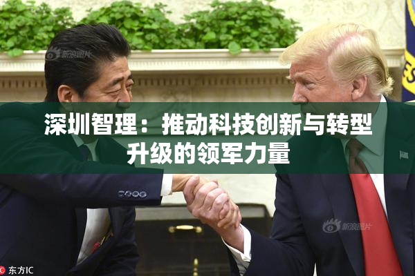深圳智理：推动科技创新与转型升级的领军力量