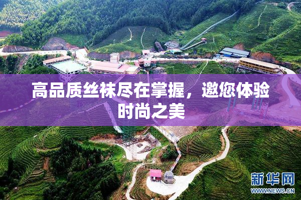 高品质丝袜尽在掌握，邀您体验时尚之美