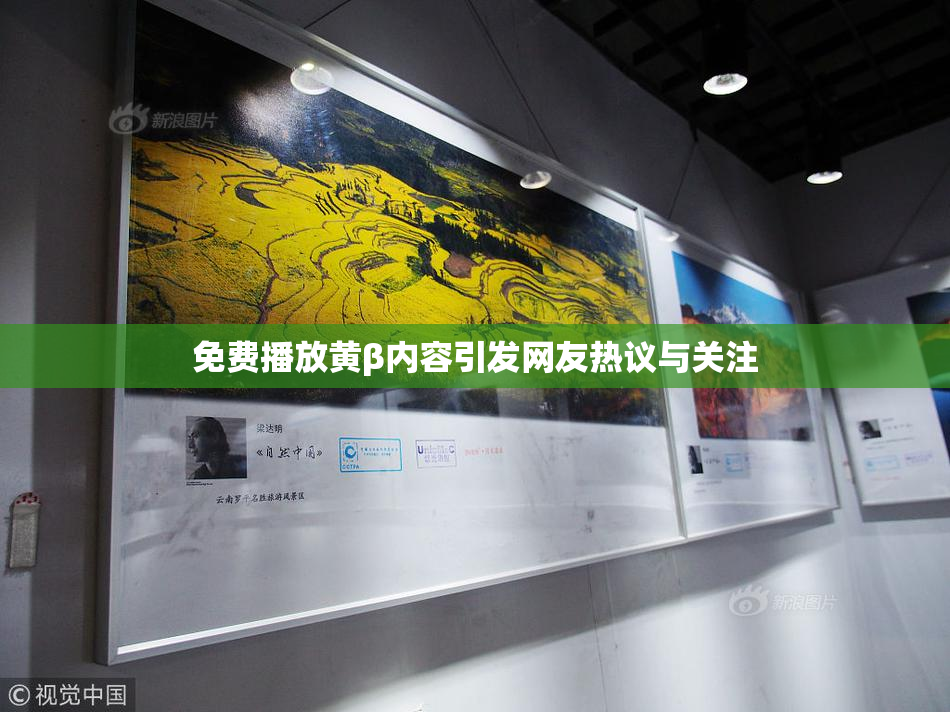 免费播放黄β内容引发网友热议与关注