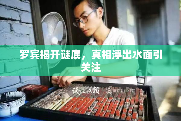 罗宾揭开谜底，真相浮出水面引关注