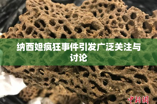 纳西妲疯狂事件引发广泛关注与讨论
