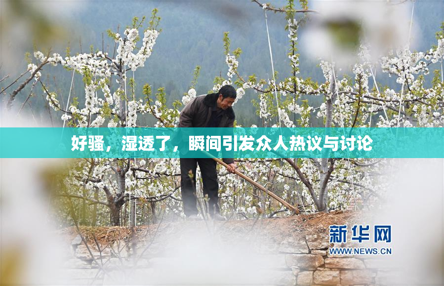 好骚，湿透了，瞬间引发众人热议与讨论