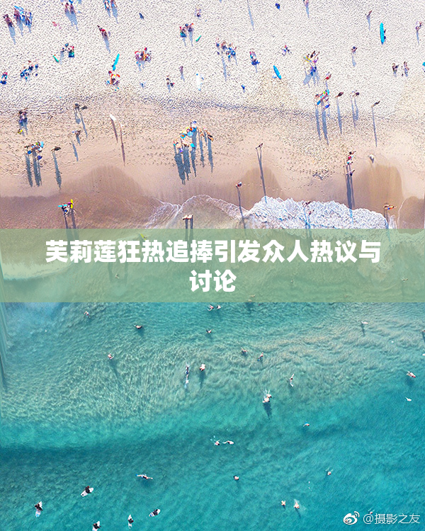 芙莉莲狂热追捧引发众人热议与讨论
