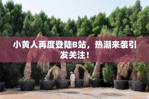 小黄人再度登陆B站，热潮来袭引发关注！