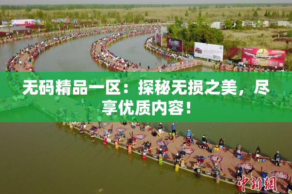 无码精品一区：探秘无损之美，尽享优质内容！