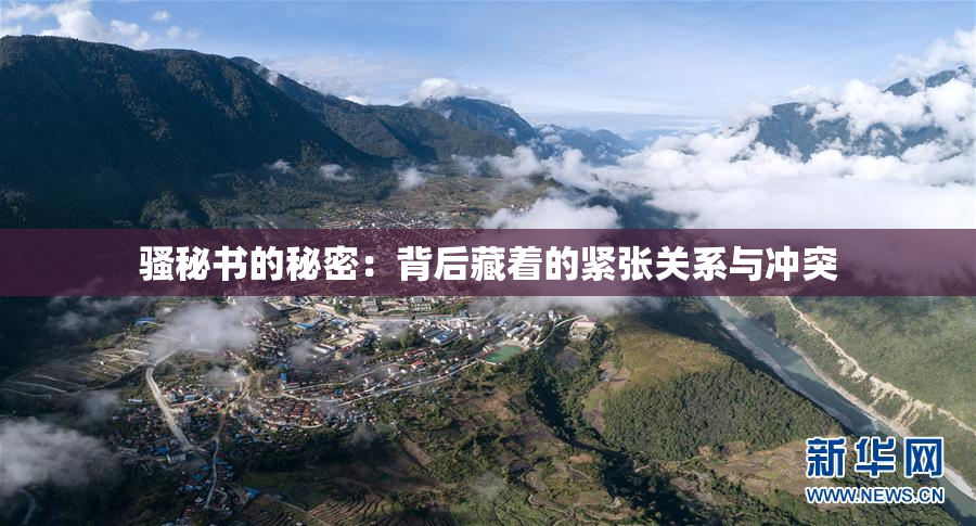 骚秘书的秘密：背后藏着的紧张关系与冲突