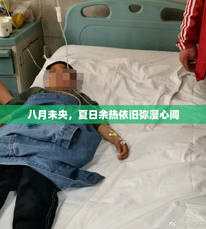 八月未央，夏日余热依旧弥漫心间