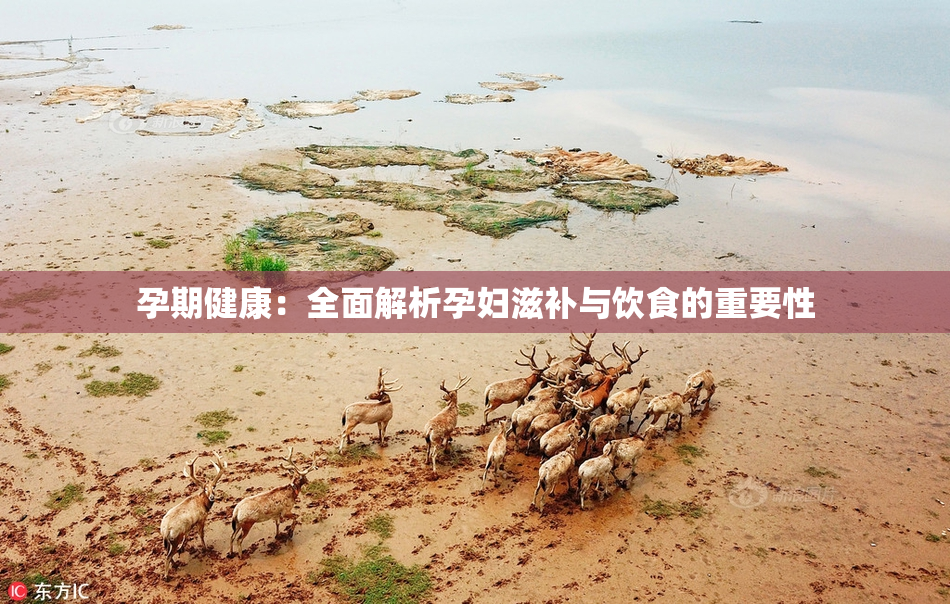 孕期健康：全面解析孕妇滋补与饮食的重要性