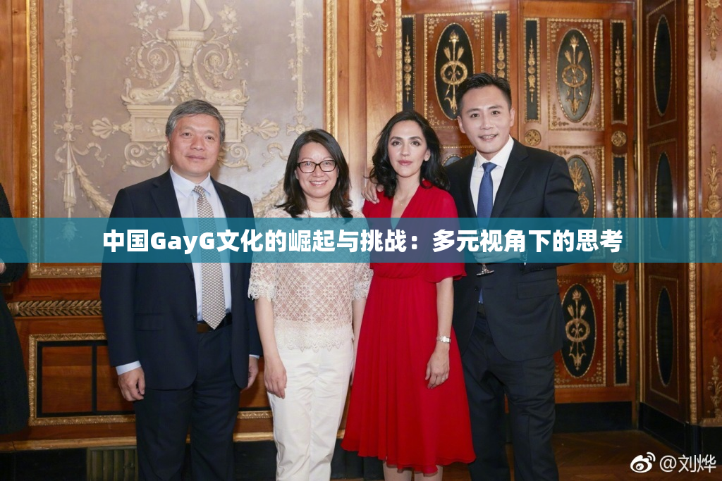 中国GayG文化的崛起与挑战：多元视角下的思考