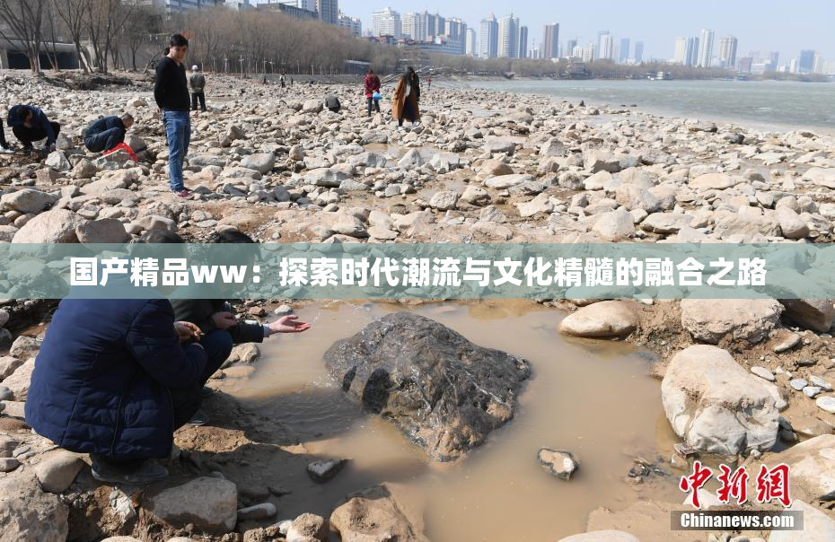国产精品ww：探索时代潮流与文化精髓的融合之路