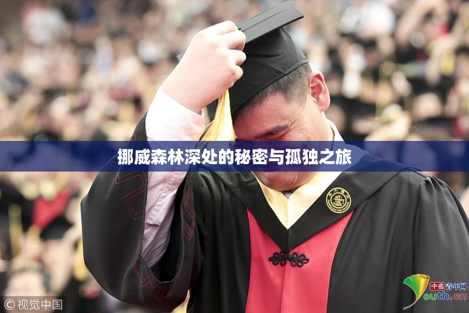 挪威森林深处的秘密与孤独之旅