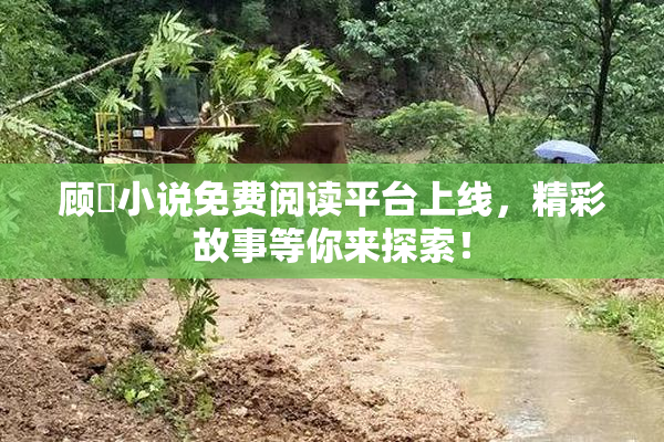 顾嫚小说免费阅读平台上线，精彩故事等你来探索！
