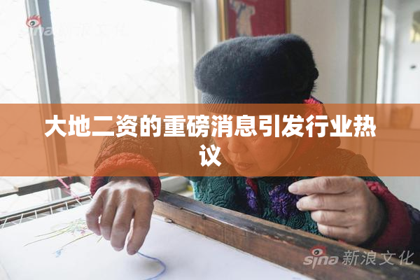 大地二资的重磅消息引发行业热议