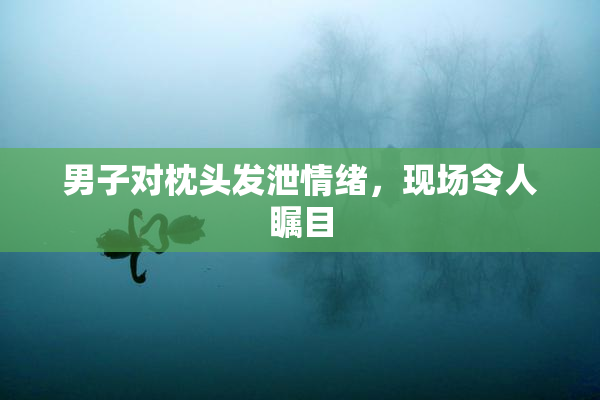 男子对枕头发泄情绪，现场令人瞩目