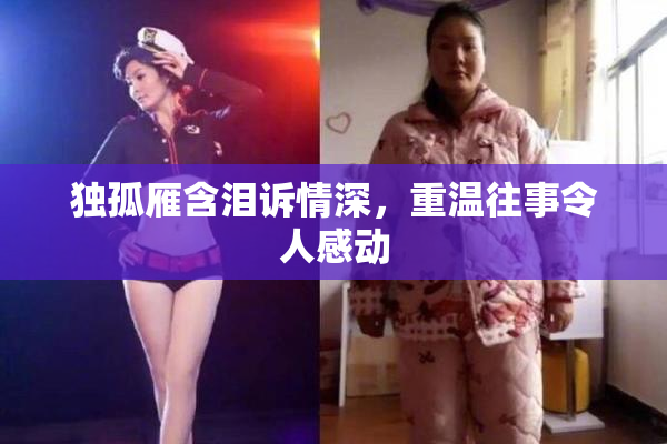 独孤雁含泪诉情深，重温往事令人感动