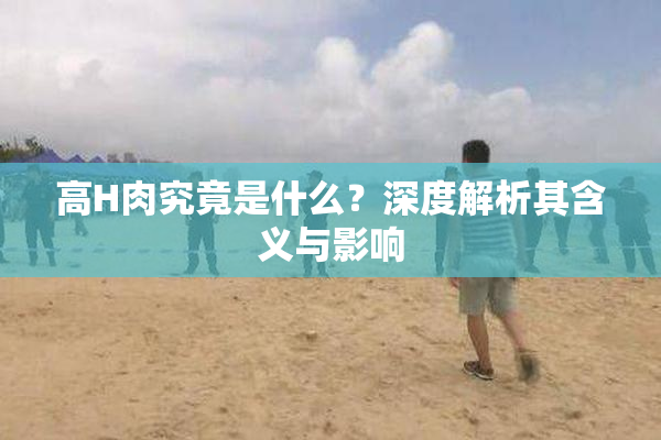 高H肉究竟是什么？深度解析其含义与影响