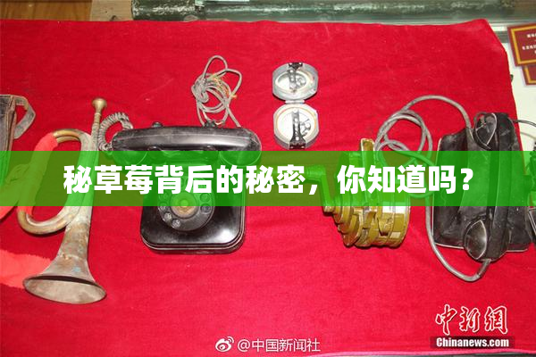 秘草莓背后的秘密，你知道吗？